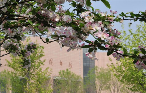 郑州大学第一附属医院被执行