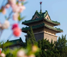 南京农业大学录取分数线2024