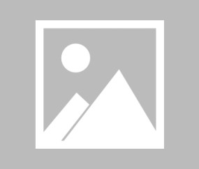 华东理工大学是985还是211学校