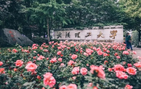 武汉理工大学2025年招生计划