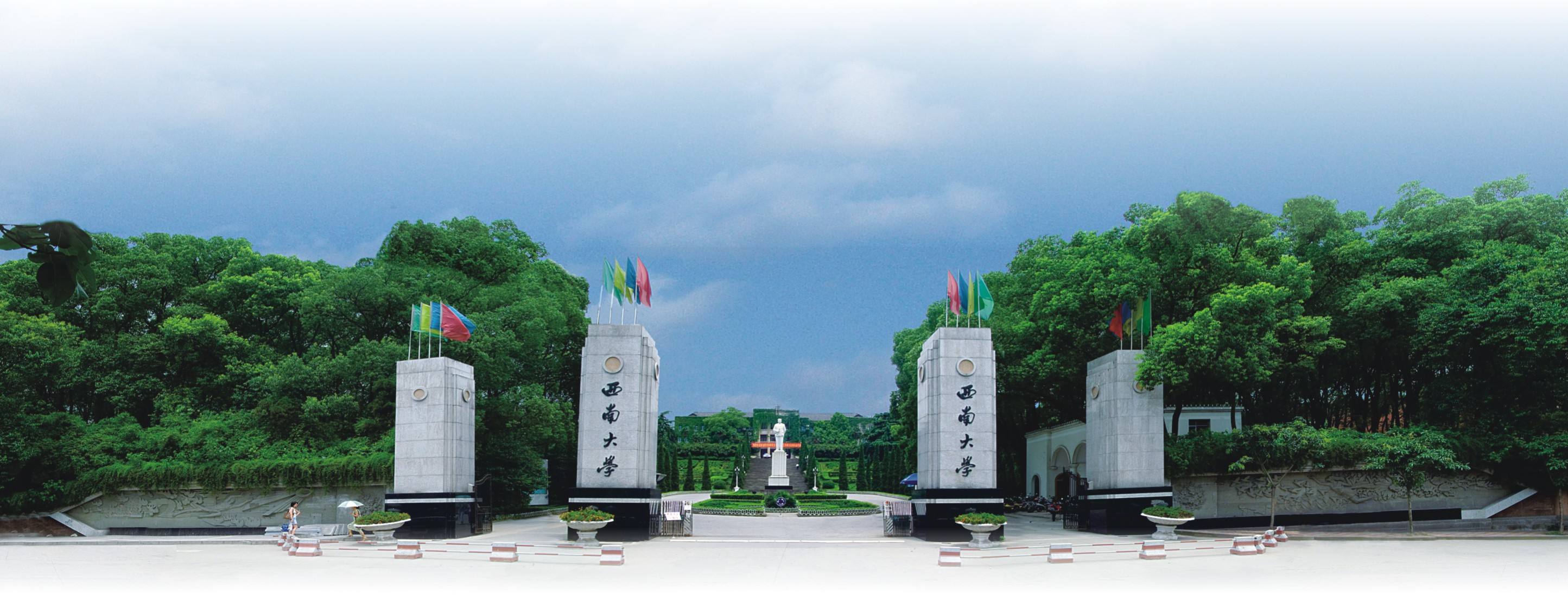 西南大学毕业证图片 样本