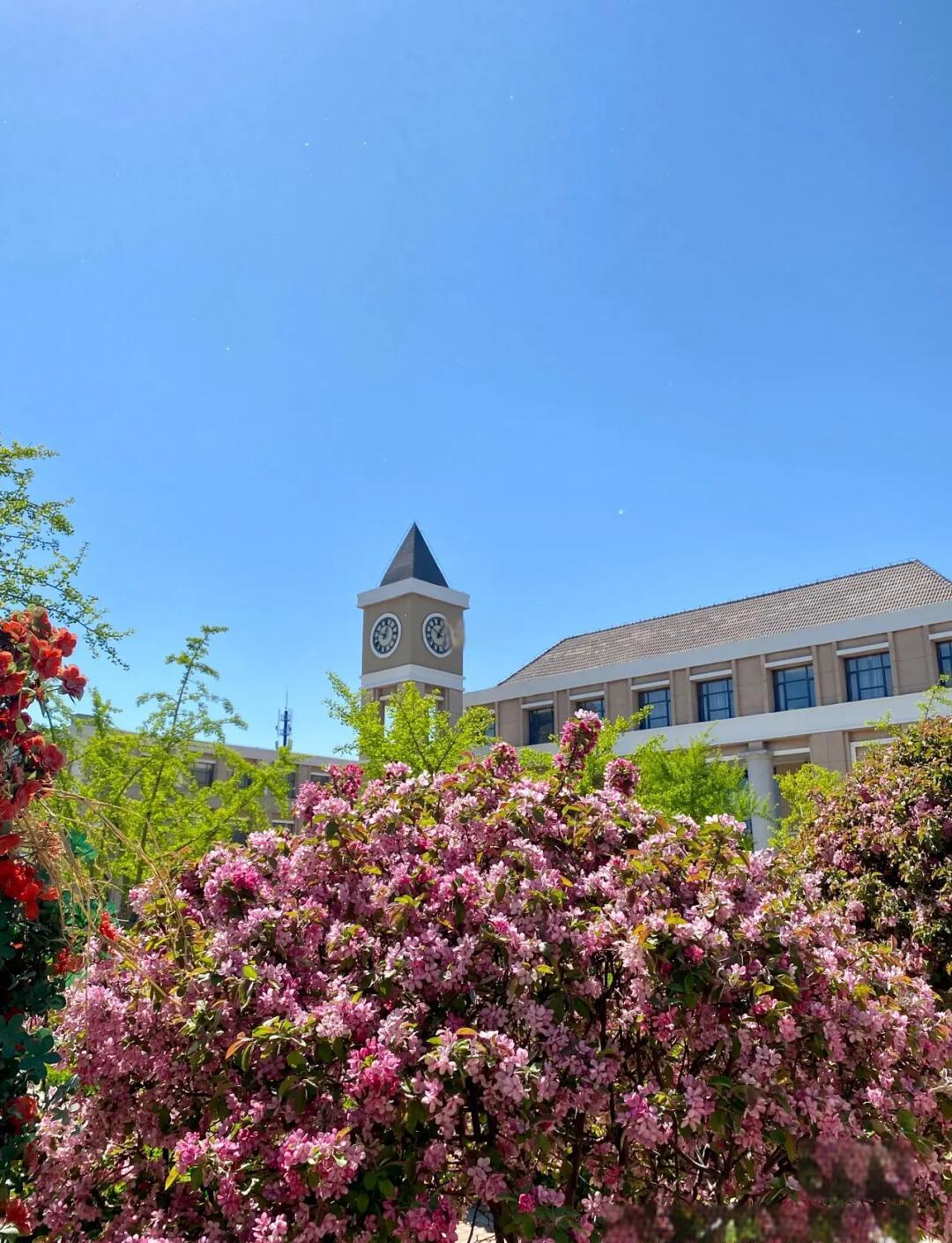 首都师范大学科德学院