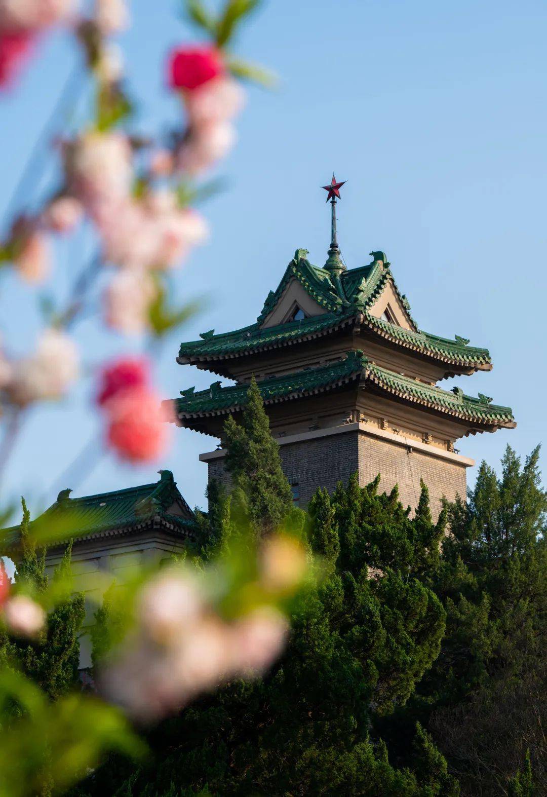 南京农业大学录取分数线2024
